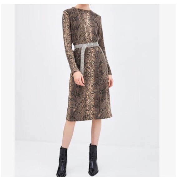 zara snake print dress